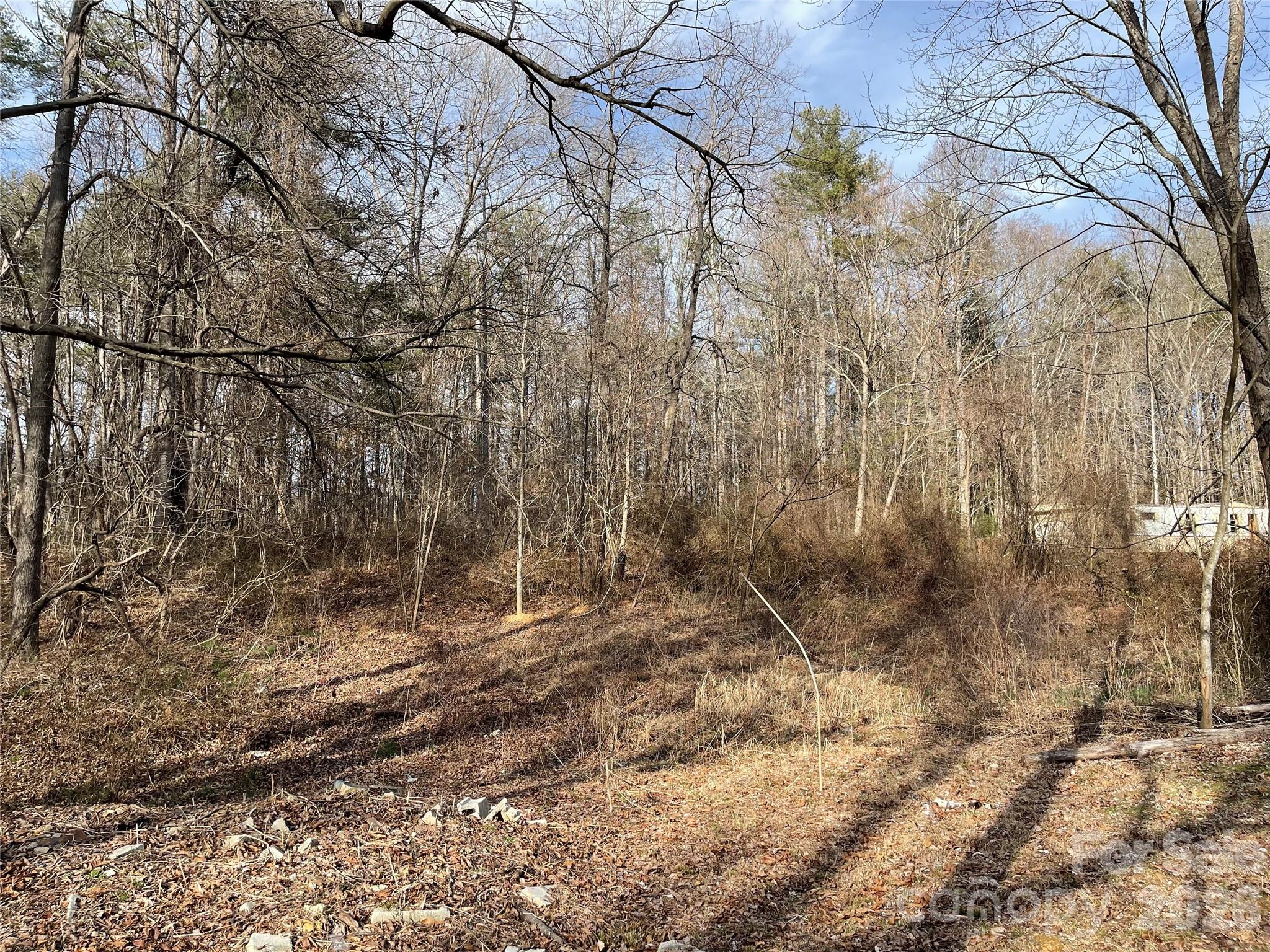 218 Max Metcalf Road Swannanoa, NC 28778 - Photo 7 of 15