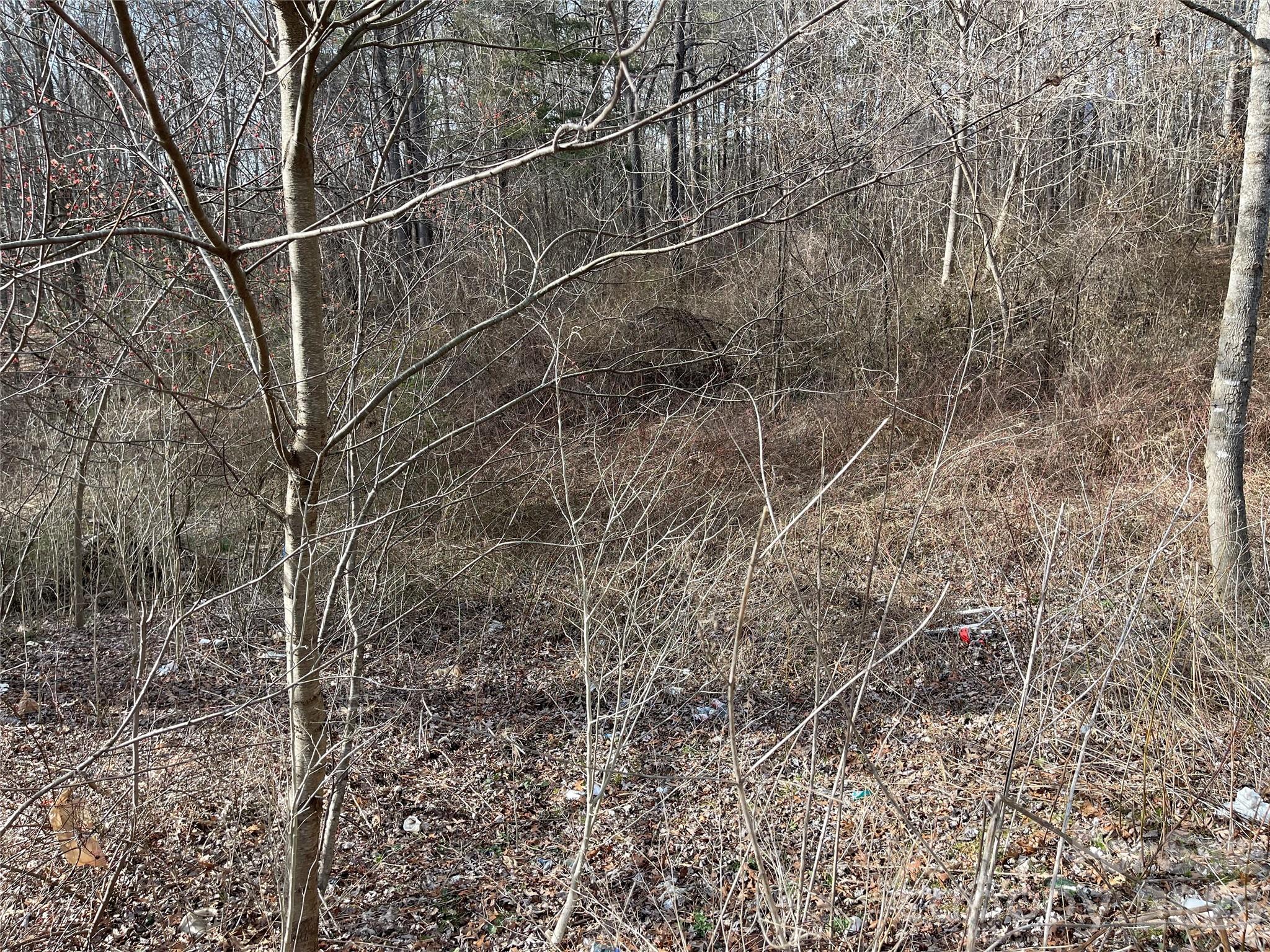 218 Max Metcalf Road Swannanoa, NC 28778 - Photo 9 of 15