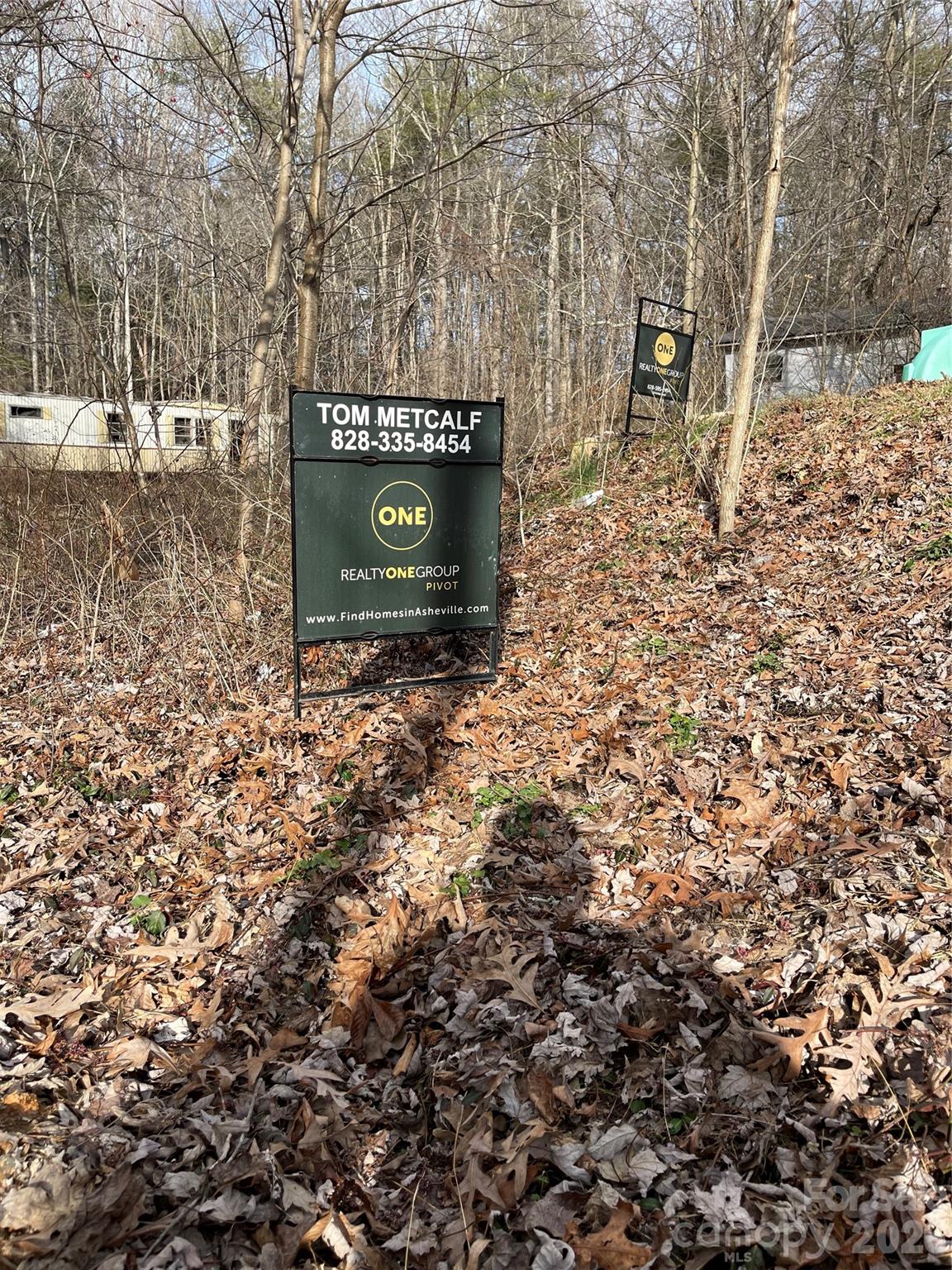 218 Max Metcalf Road Swannanoa, NC 28778 - Photo 10 of 15