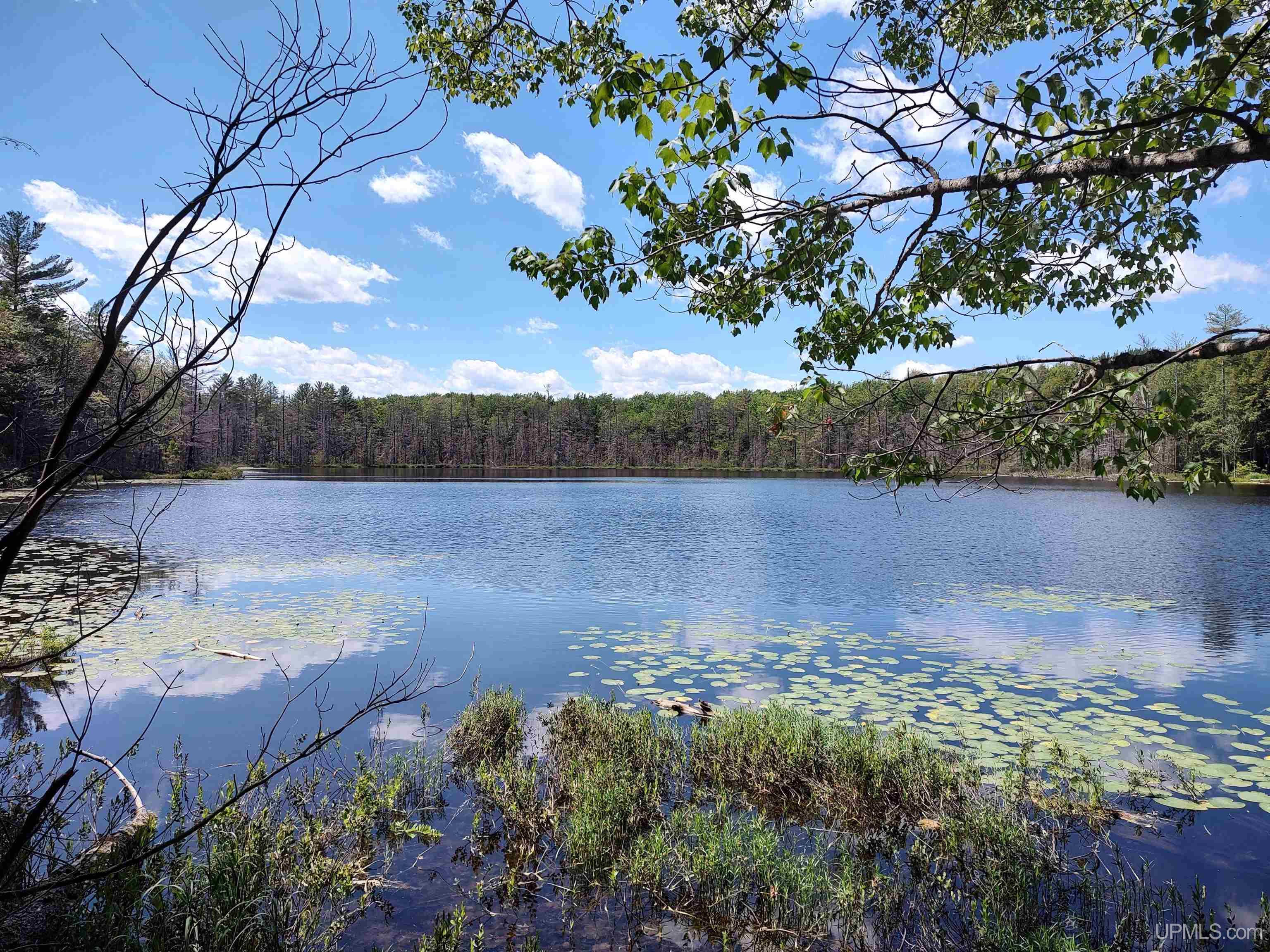 16 Mile Lake Road Munising, MI 49862 - Photo 1 of 12 Gallery Image 1