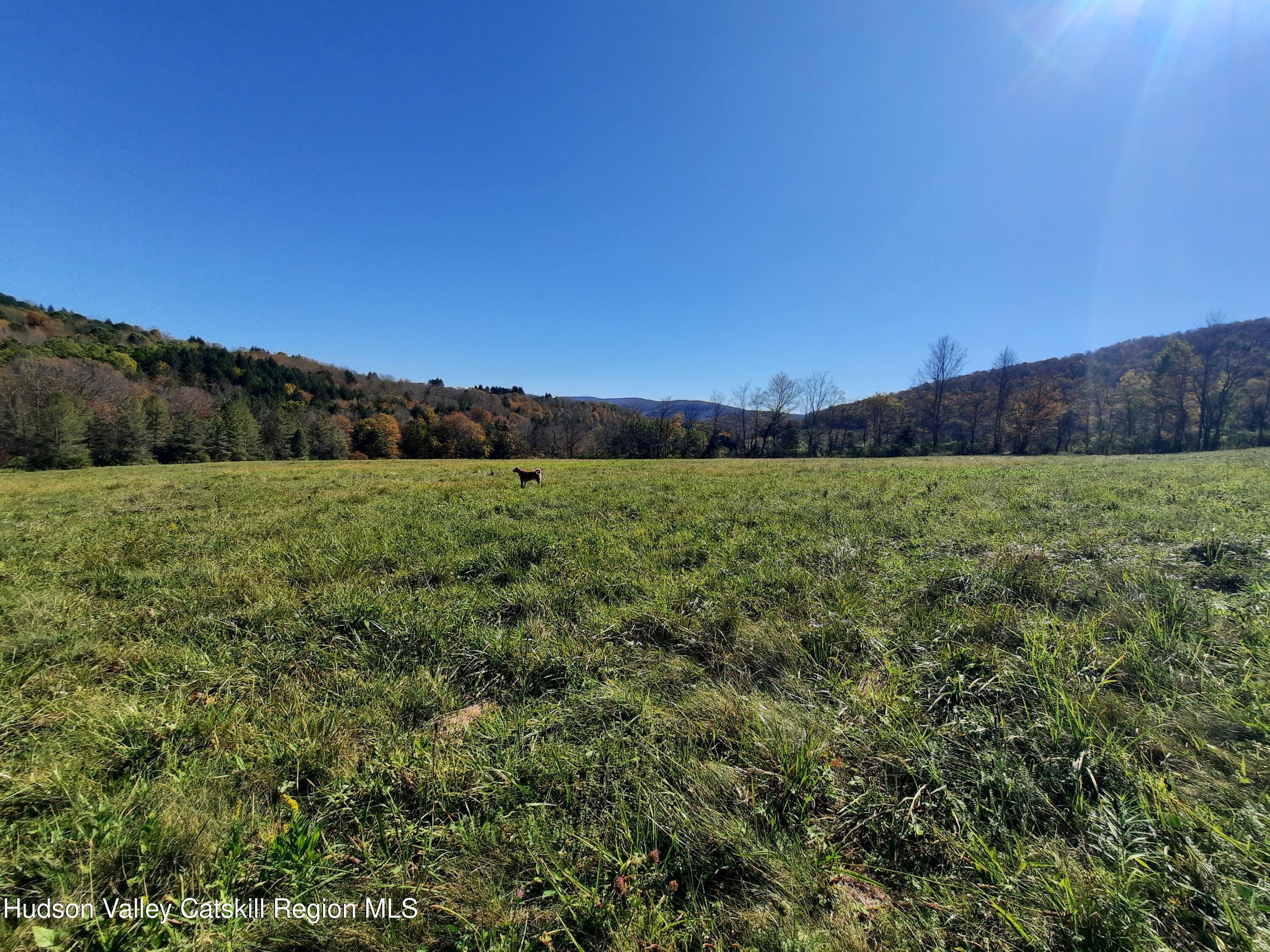 Tbd Upper Dingle Hill Road Andes, NY 13731 - Photo 35 of 44 20251001_141406