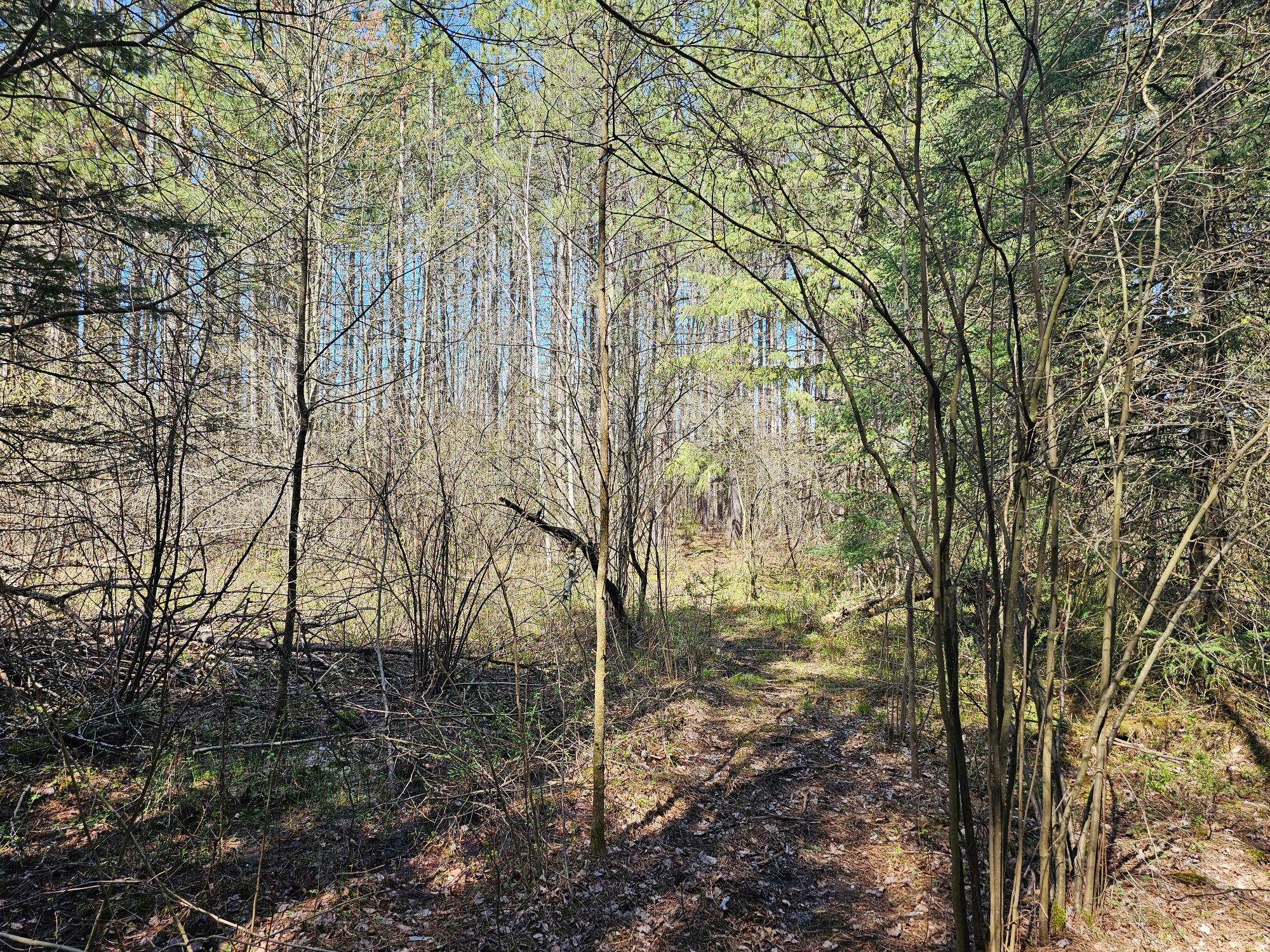 On Forks Road Merrill, WI 54452 - Photo 27 of 34 Gallery Image 27