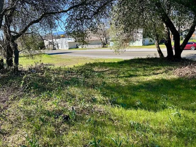 a view of back yard with green space