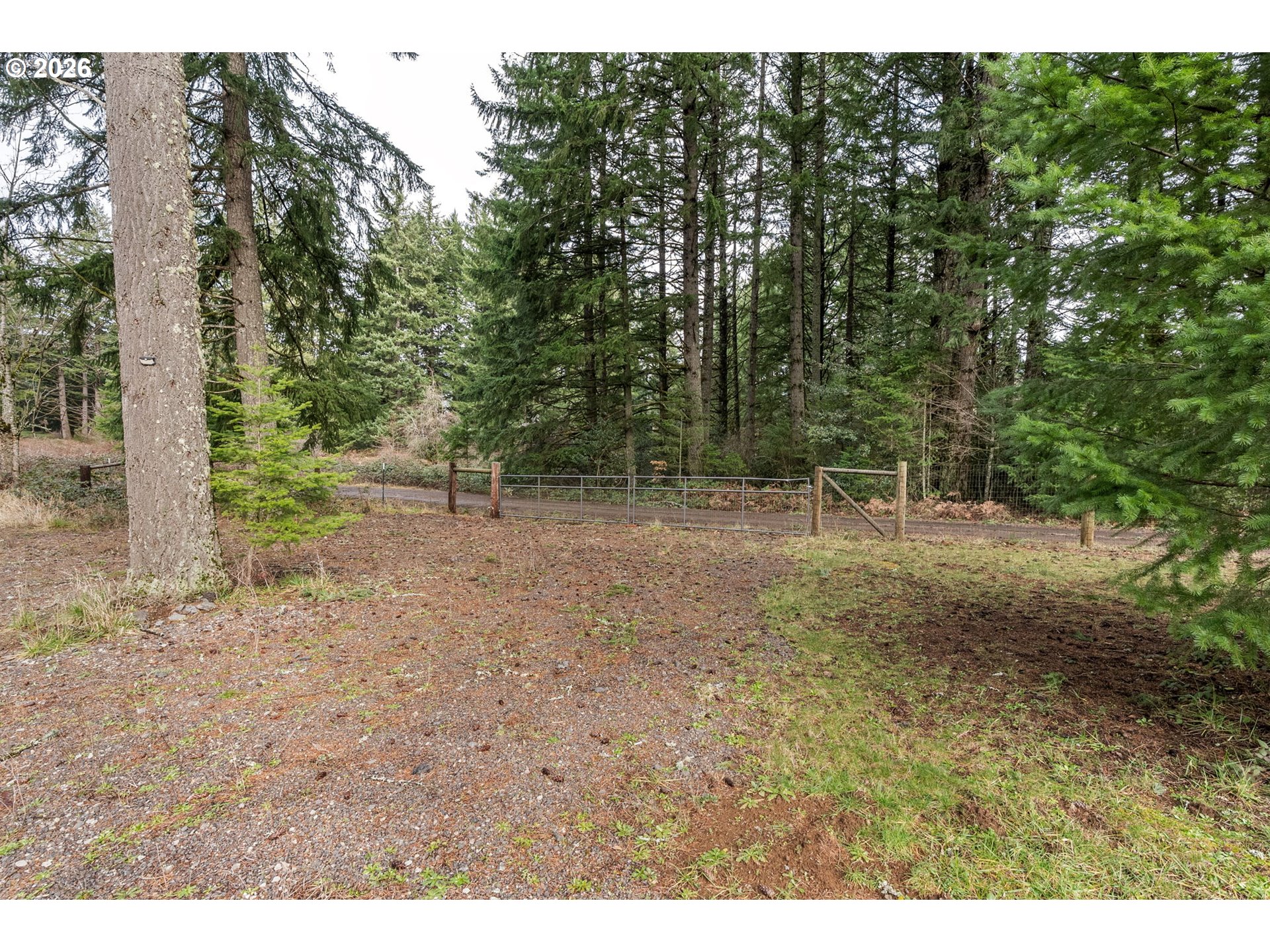 121 Fords Crossing Carson, WA 98610 - Photo 40 of 47 Yard