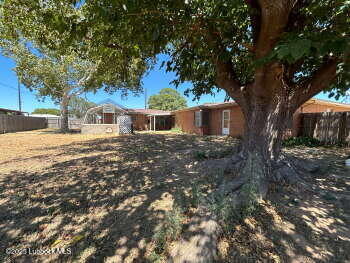 8302 Interstate 27 Lubbock, TX 79423 - Photo 20 of 21 a view of a yard with plants and a large tree