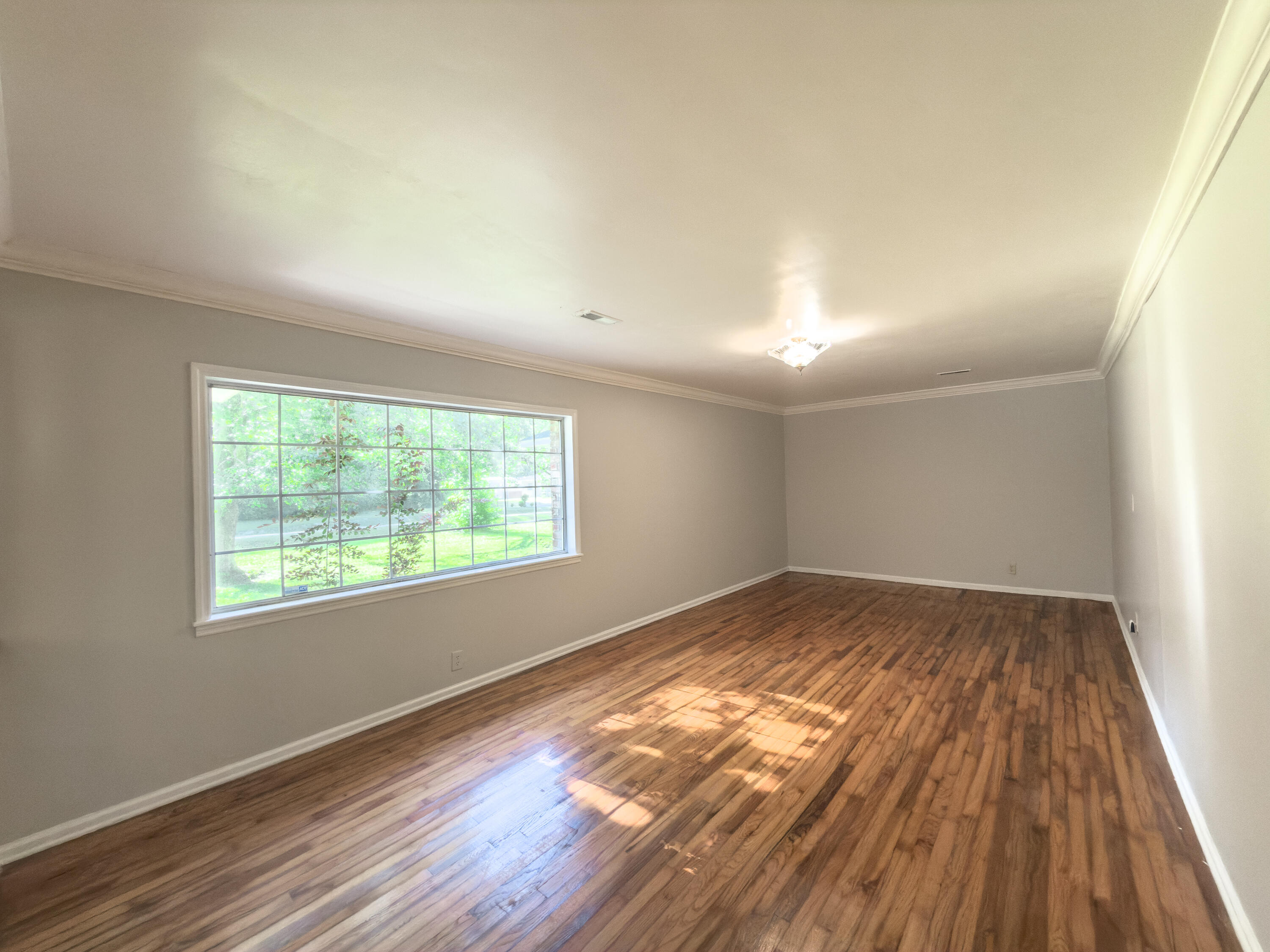 497 Jedburg Road Summerville, SC 29483 - Photo 9 of 30 IMG_1734