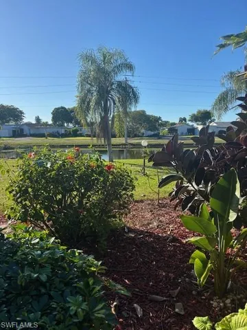 a view of a garden with a lake