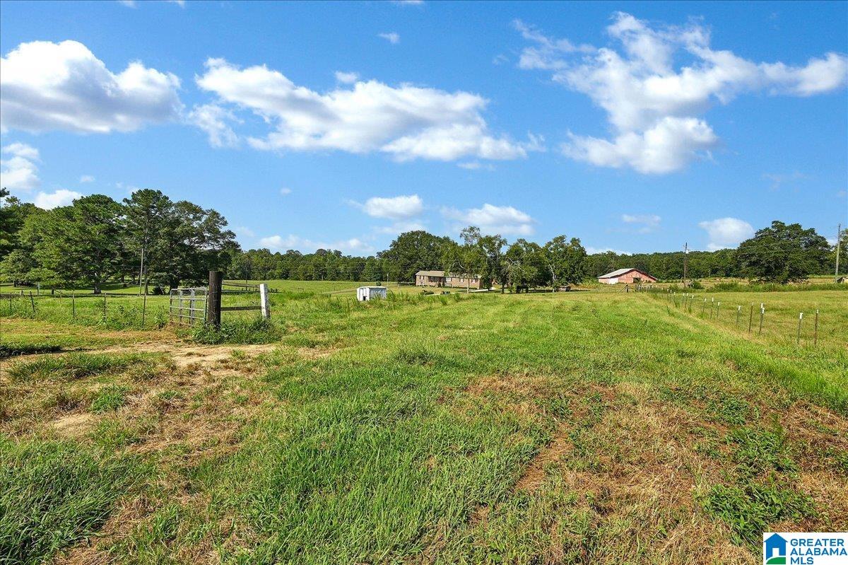 240 Marvin Adcock Road Hayden, AL 35079 - Photo 25 of 28