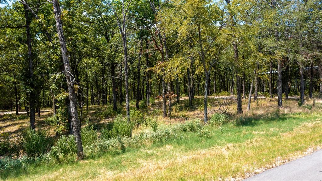 7321 Ranch Oaks Trail Malakoff, TX 75148 - Photo 6 of 21 a view of outdoor space with a garden