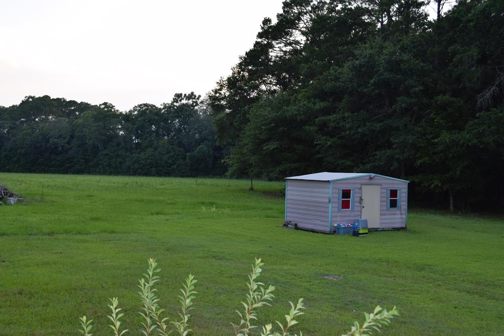 7252 County Road 49 Slocomb, AL 36375 - Photo 60 of 75