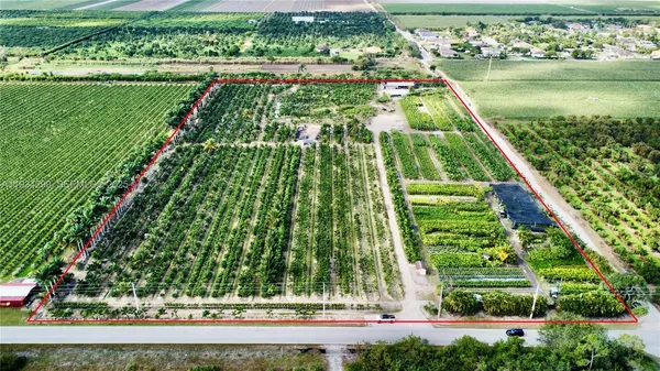 a view of a yard with plants