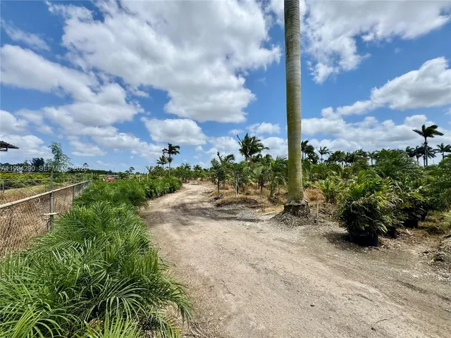 a view of a bunch of plants and trees