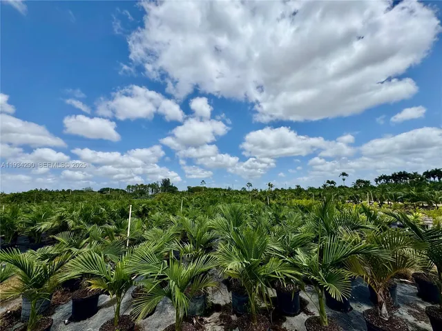 a view of a backyard with plants and fountain