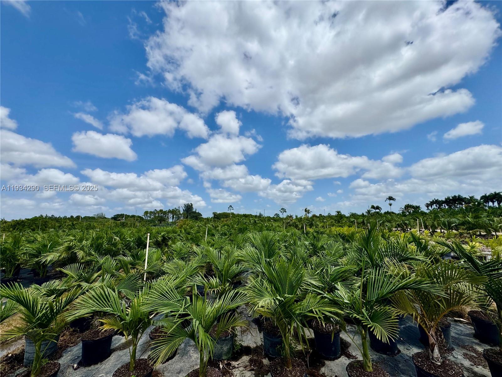 32800 Southwest 202nd Avenue Homestead, FL 33034 - Photo 18 of 25 a view of a garden with a building