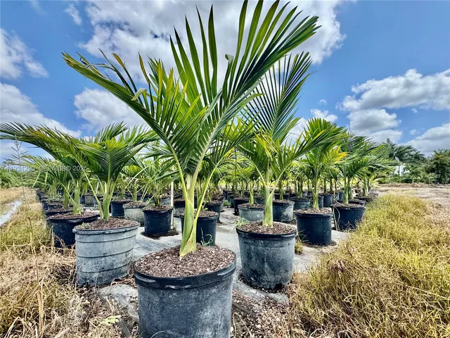 $2,950,000 | 32800 Southwest 202nd Avenue, Homestead, FL 33034