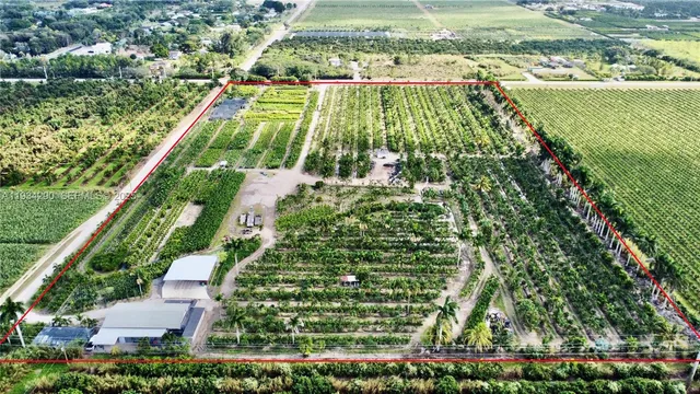 a close up of a plant in a garden