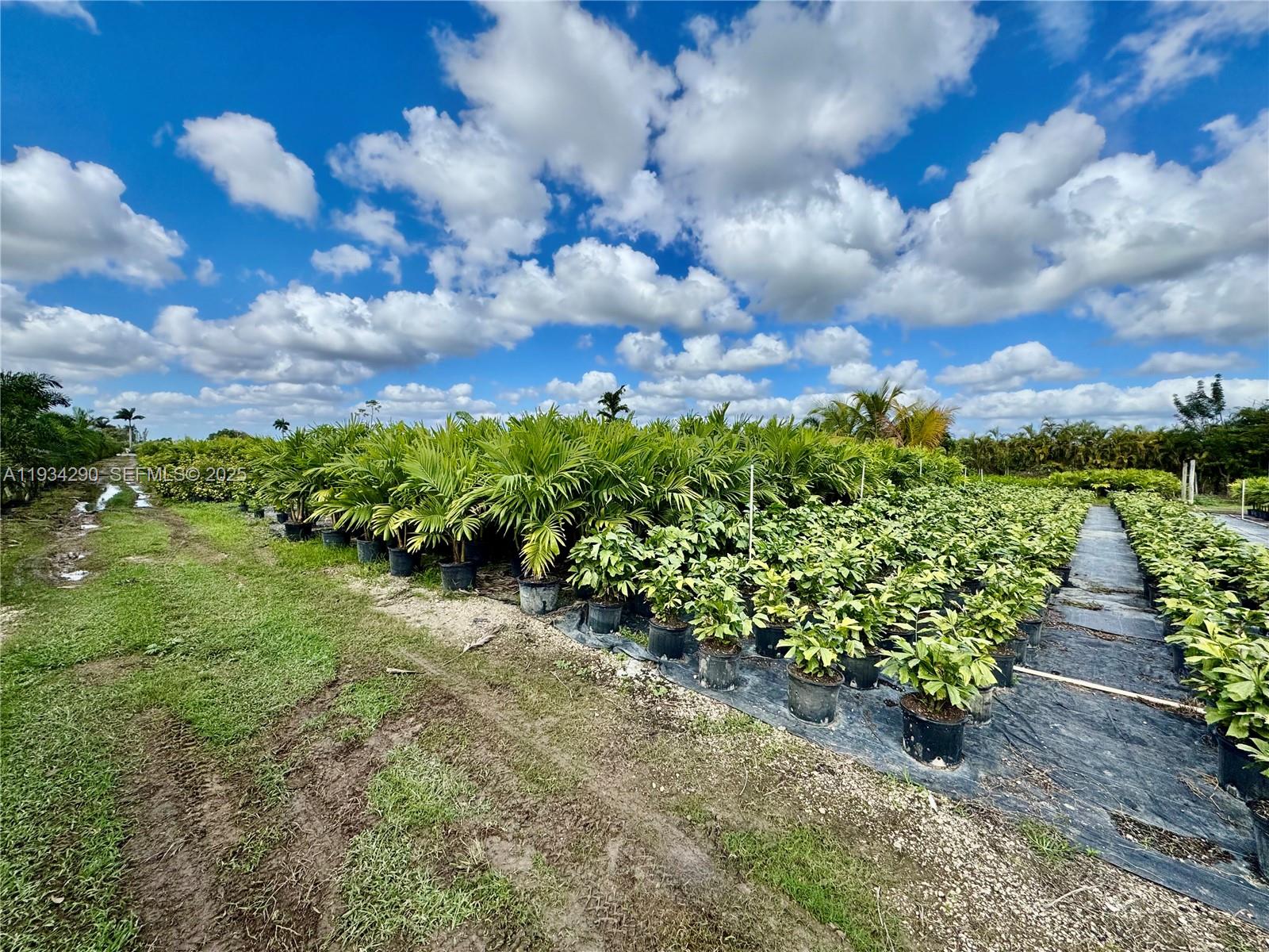 32800 Southwest 202nd Avenue Homestead, FL 33034 - Photo 7 of 25 a view of a pathway with a yard