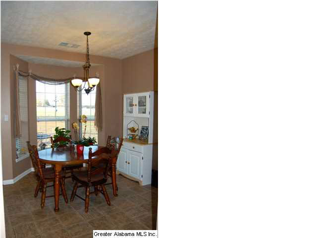 55 County Road 797 Clanton, AL 35045 - Photo 7 of 24