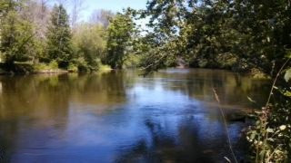 0 South River Road Evart, MI 49631 - Photo 1 of 1 s river