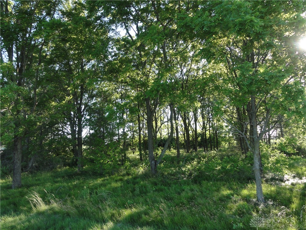 0 North Furlong Road Laura, OH 45337 - Photo 5 of 6