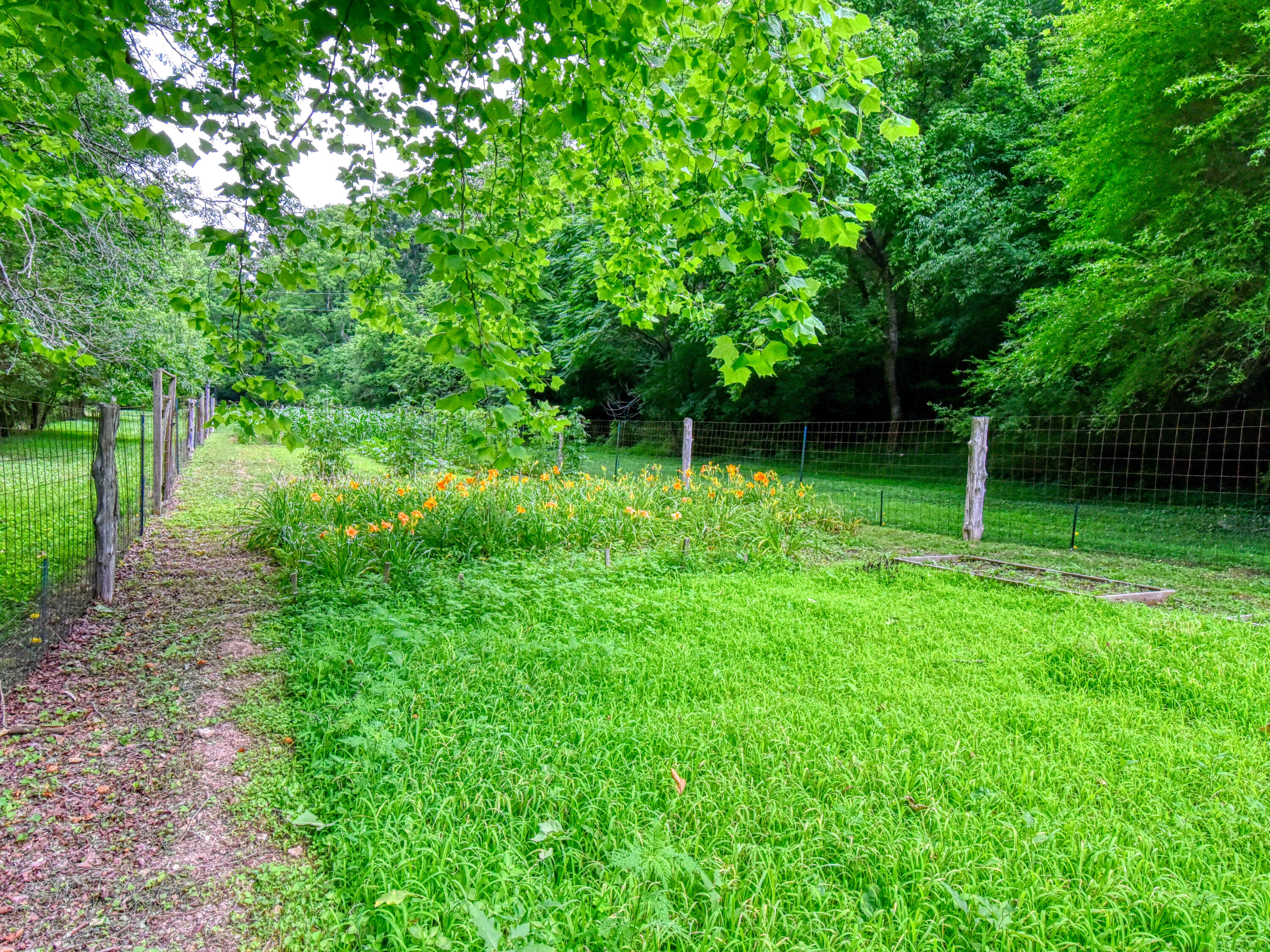 5040 Estes Road Loudon, TN 37774 - Photo 33 of 35 5040 Estes Rd
