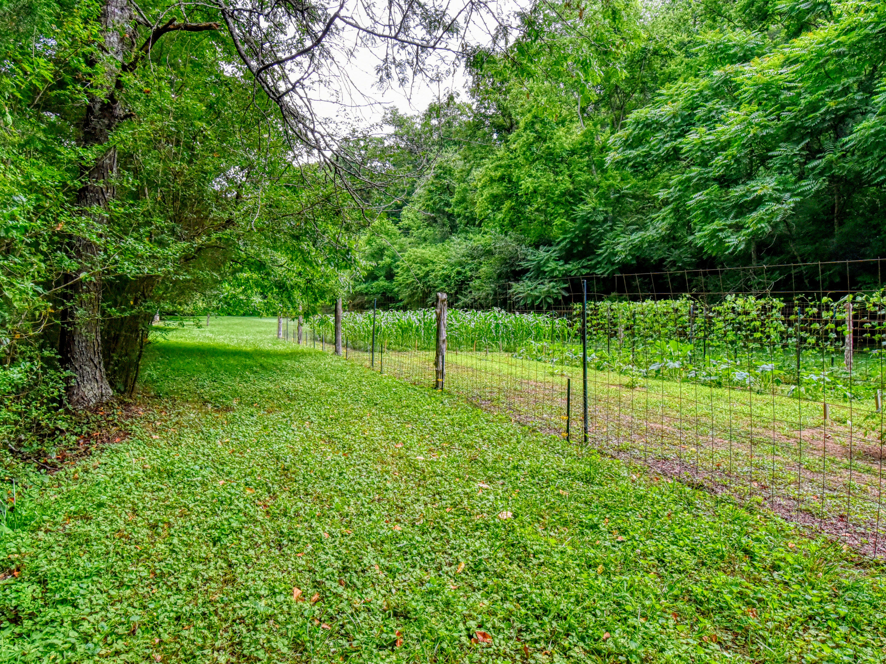 5040 Estes Road Loudon, TN 37774 - Photo 35 of 35 5040 Estes Rd