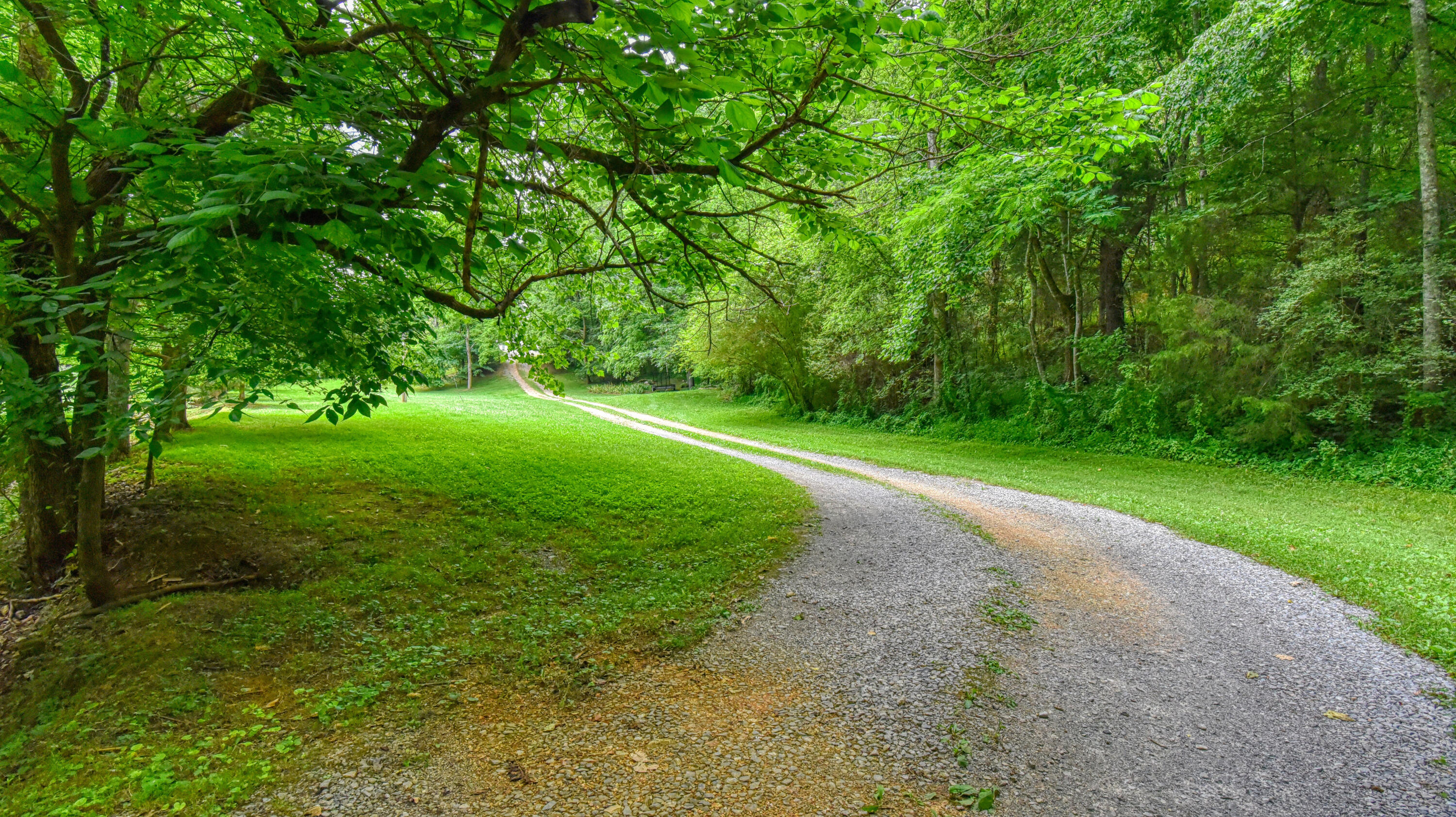 5040 Estes Road Loudon, TN 37774 - Photo 6 of 35 5040 Estes Rd