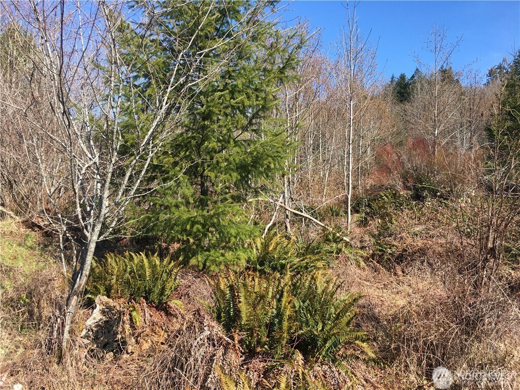 0 Summit Lake Road Northwest Olympia, WA 98502 - Photo 1 of 11