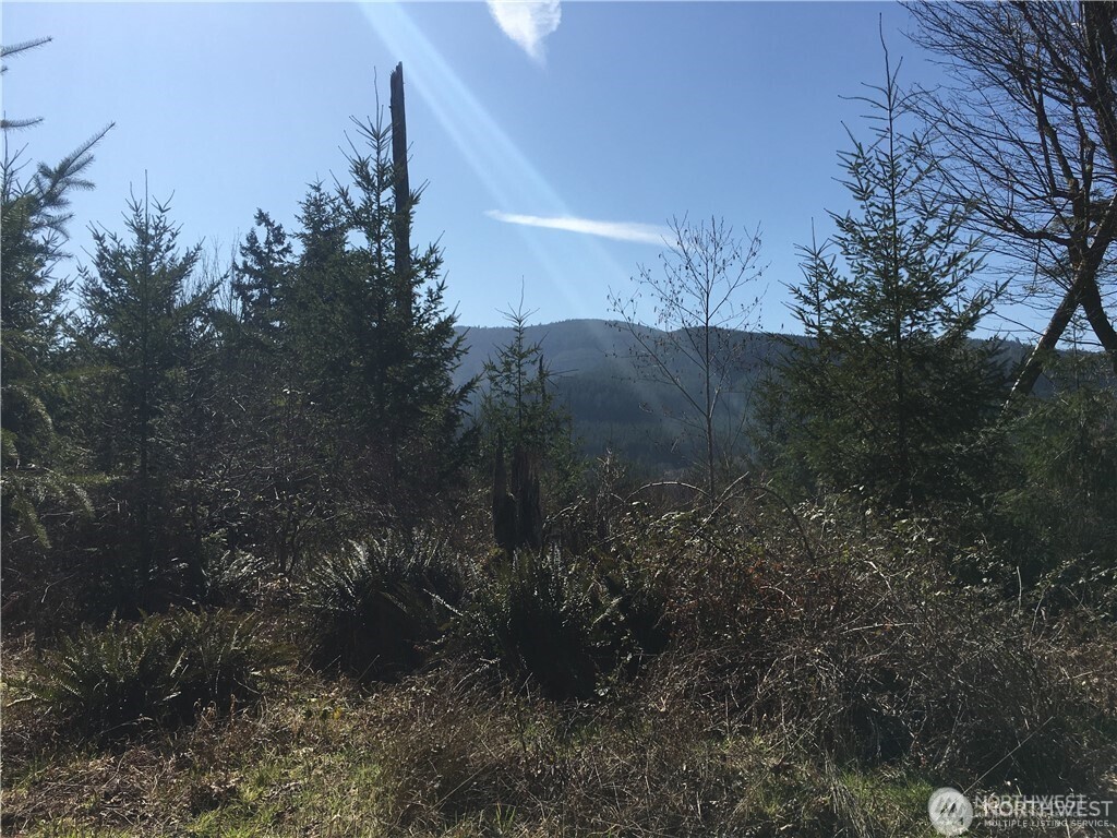 0 Summit Lake Road Northwest Olympia, WA 98502 - Photo 11 of 11