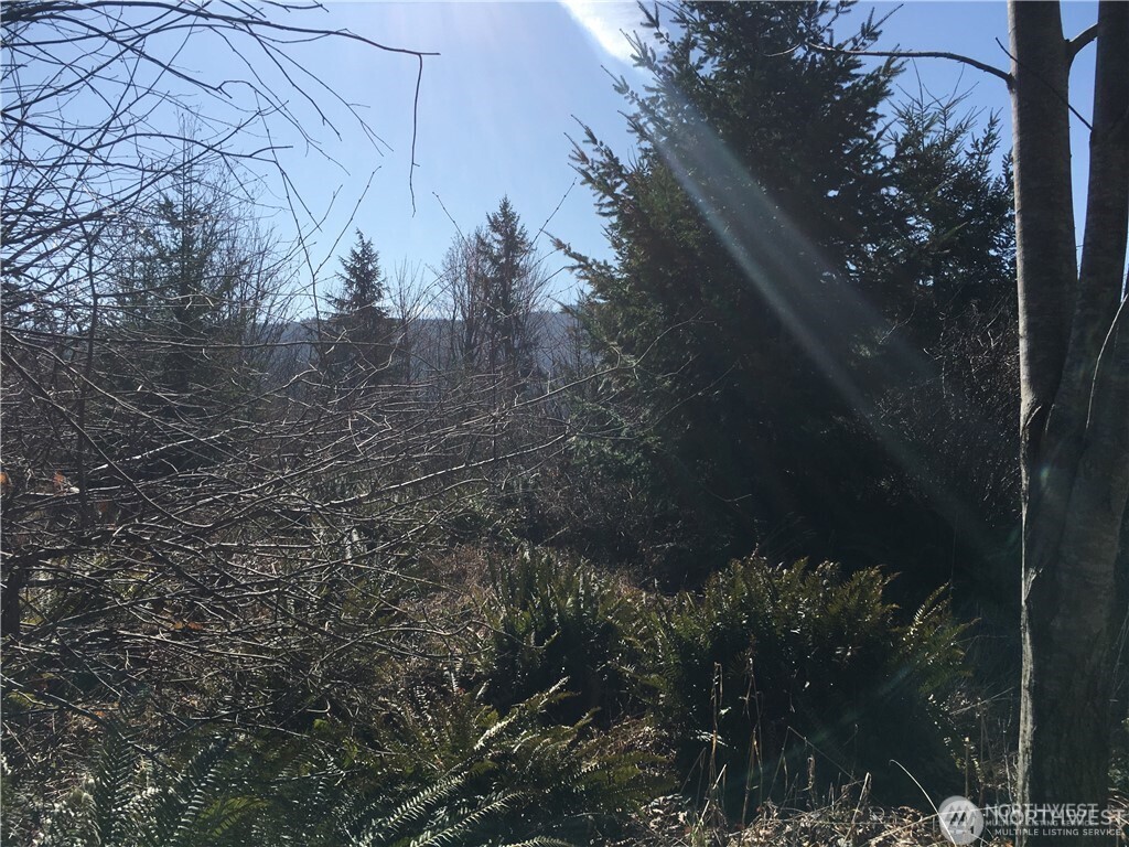 0 Summit Lake Road Northwest Olympia, WA 98502 - Photo 2 of 11