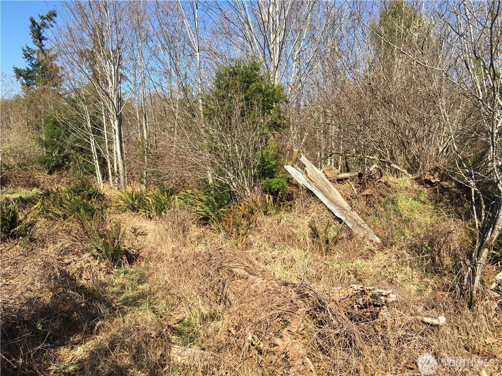 0 Summit Lake Road Northwest Olympia, WA 98502 - Photo 3 of 11