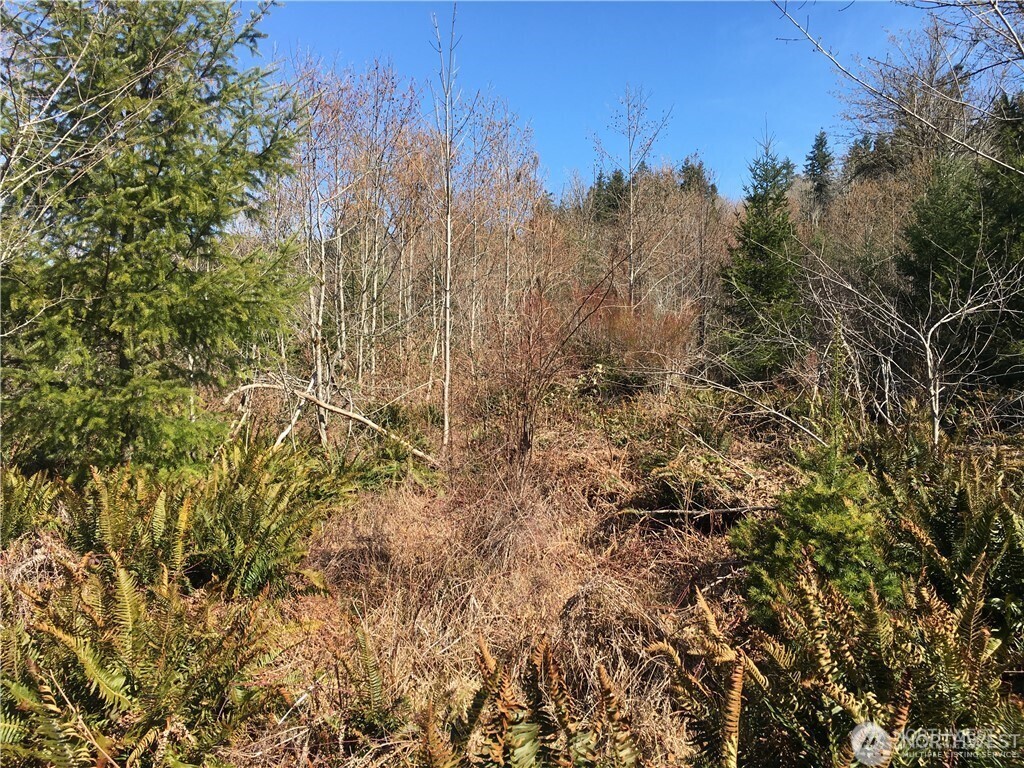 0 Summit Lake Road Northwest Olympia, WA 98502 - Photo 4 of 11