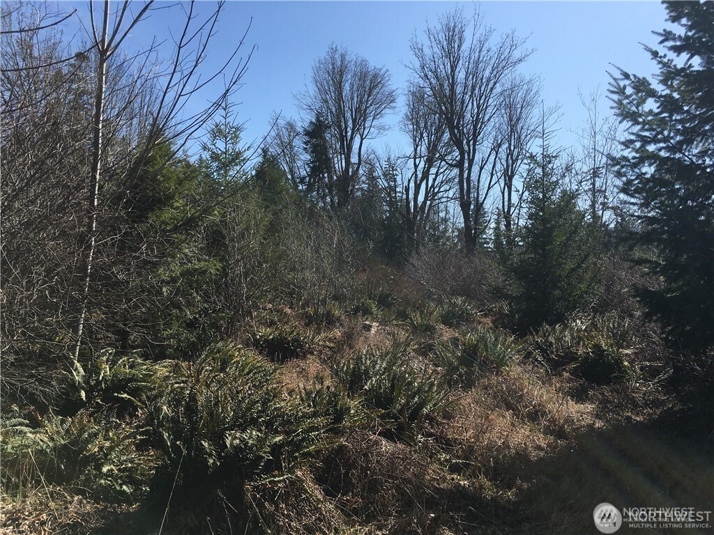 0 Summit Lake Road Northwest Olympia, WA 98502 - Photo 5 of 11