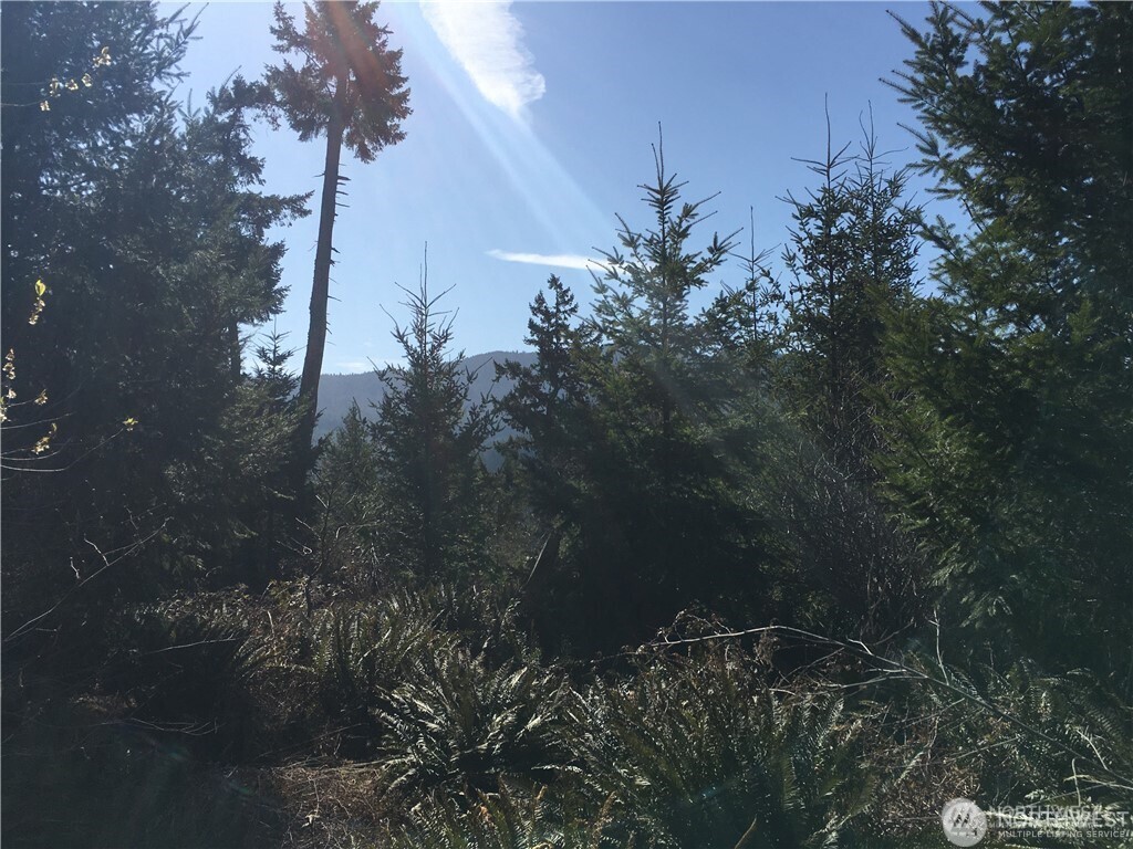 0 Summit Lake Road Northwest Olympia, WA 98502 - Photo 6 of 11