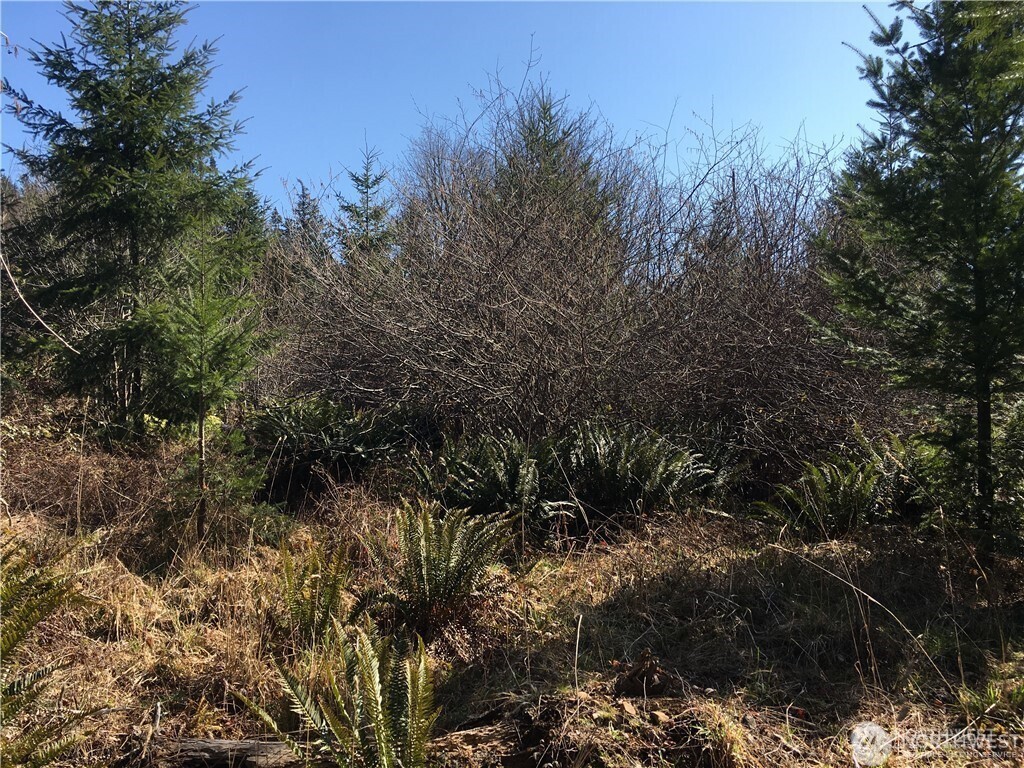 0 Summit Lake Road Northwest Olympia, WA 98502 - Photo 7 of 11