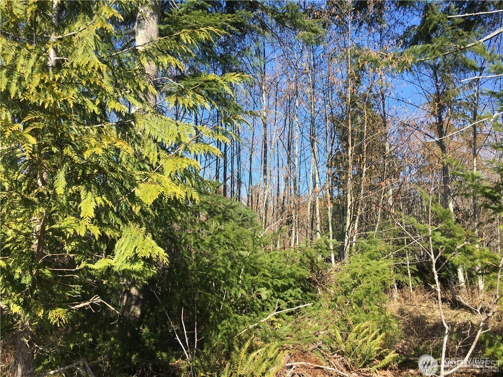 0 Summit Lake Road Northwest Olympia, WA 98502 - Photo 8 of 11