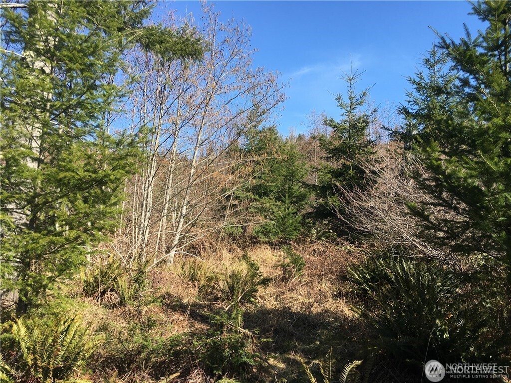 0 Summit Lake Road Northwest Olympia, WA 98502 - Photo 9 of 11