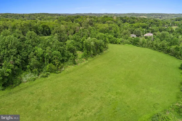 a view of a green field with lots of bushes