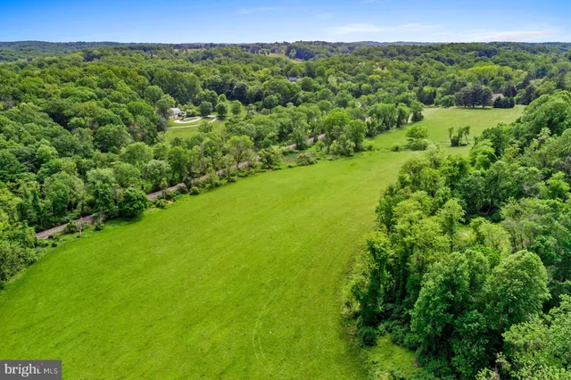 a view of a green field with lots of bushes