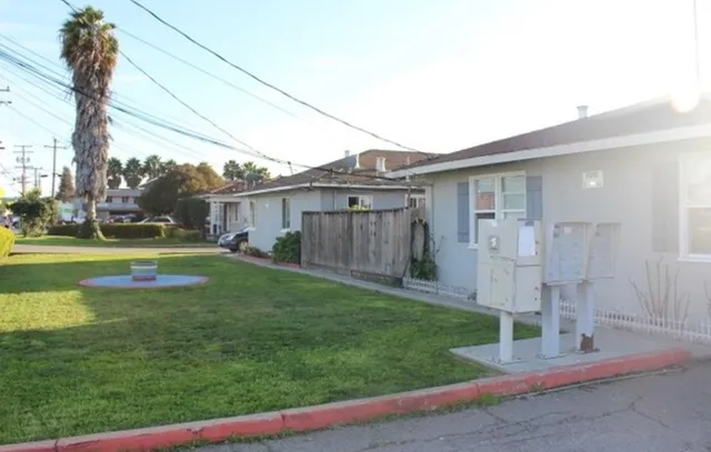 a view of a house with a big yard and large tree