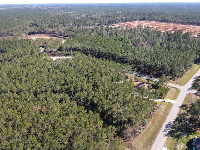 an aerial view of forest