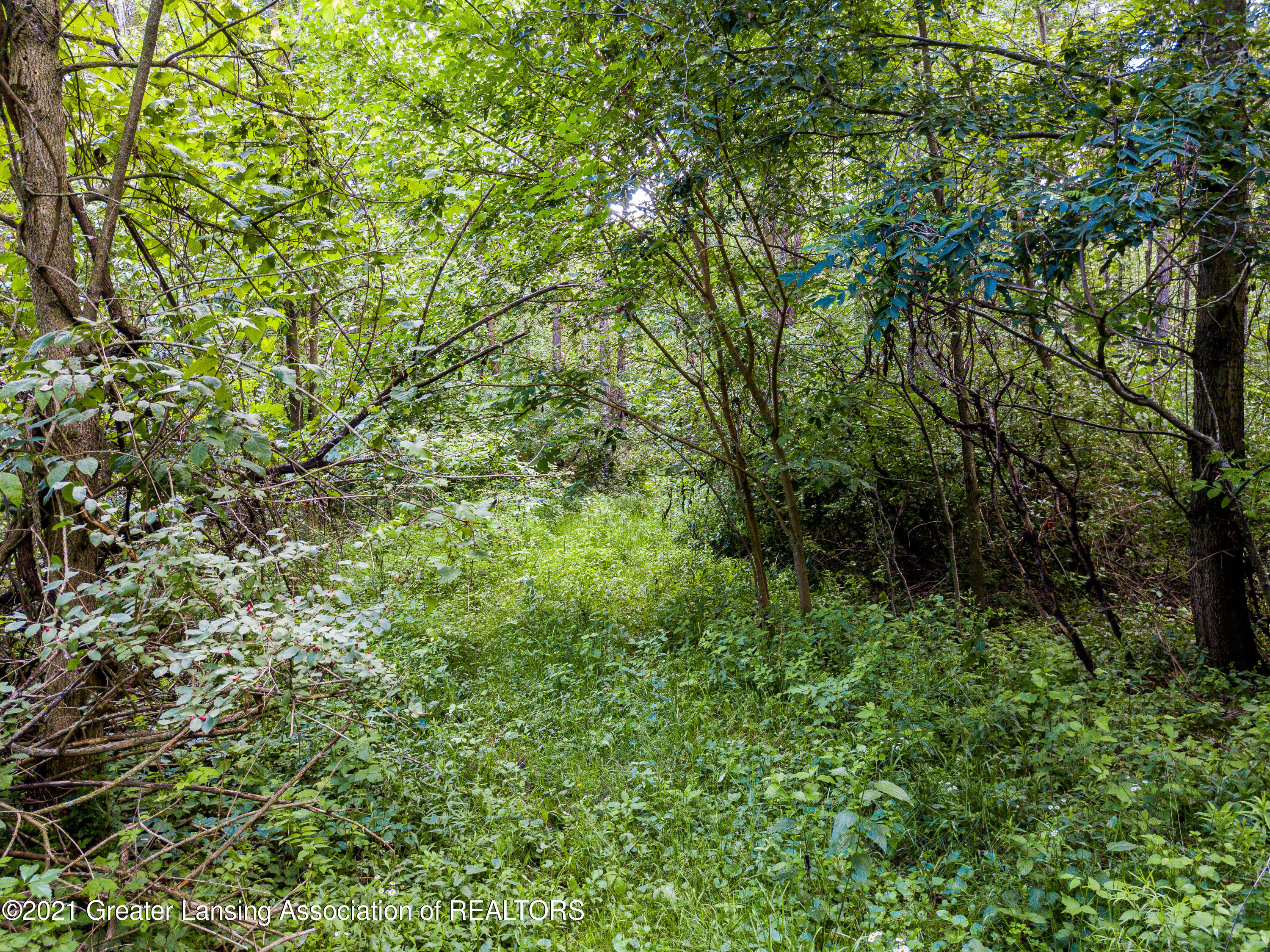 2055 North Meridian Road Ovid, MI 48866 - Photo 21 of 21 2055 N Meridian Rd Ovid MI-118