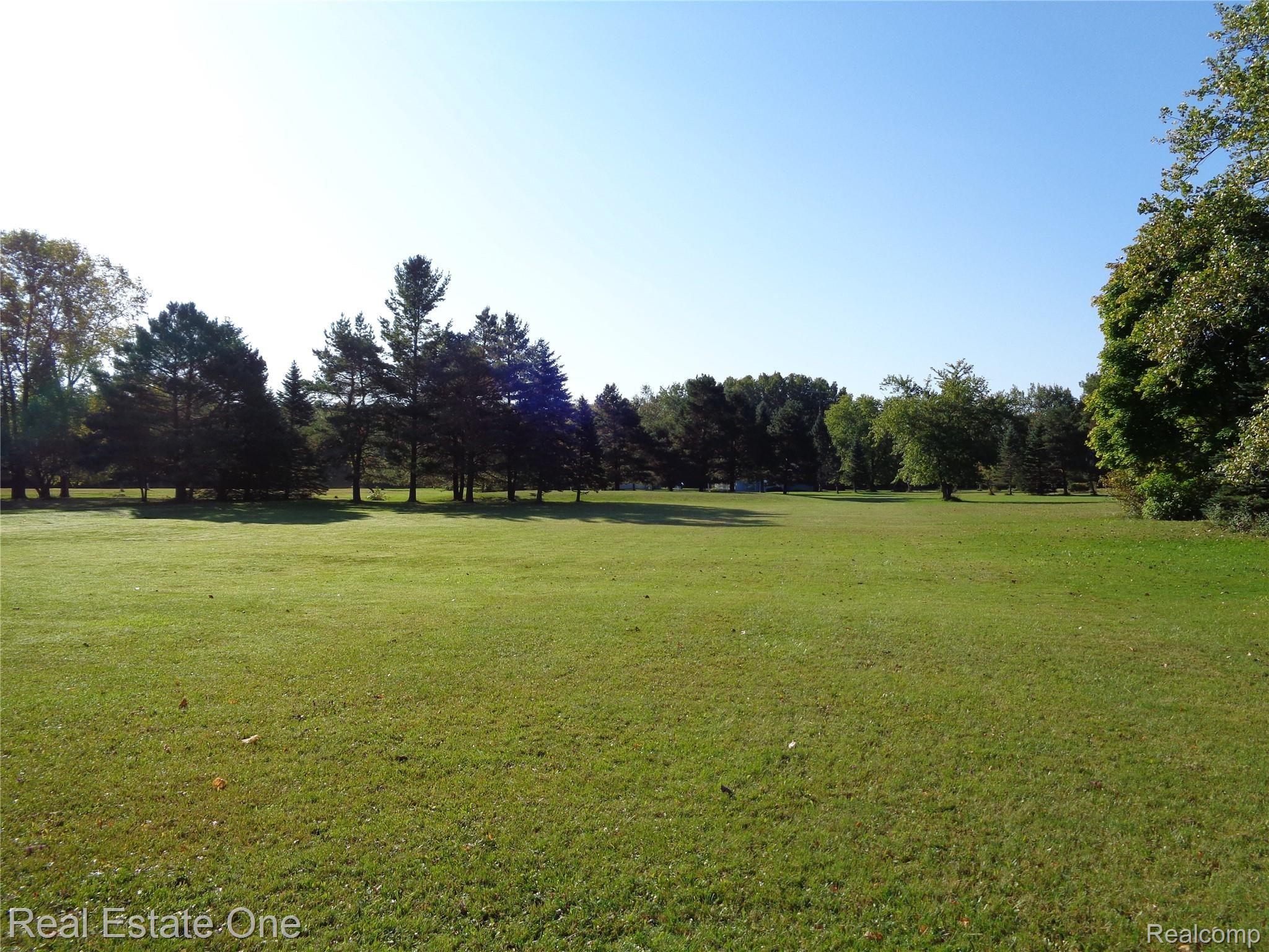 5960 Mills Road Deckerville, MI 48427 - Photo 13 of 79 9 acre lot, beautiful.