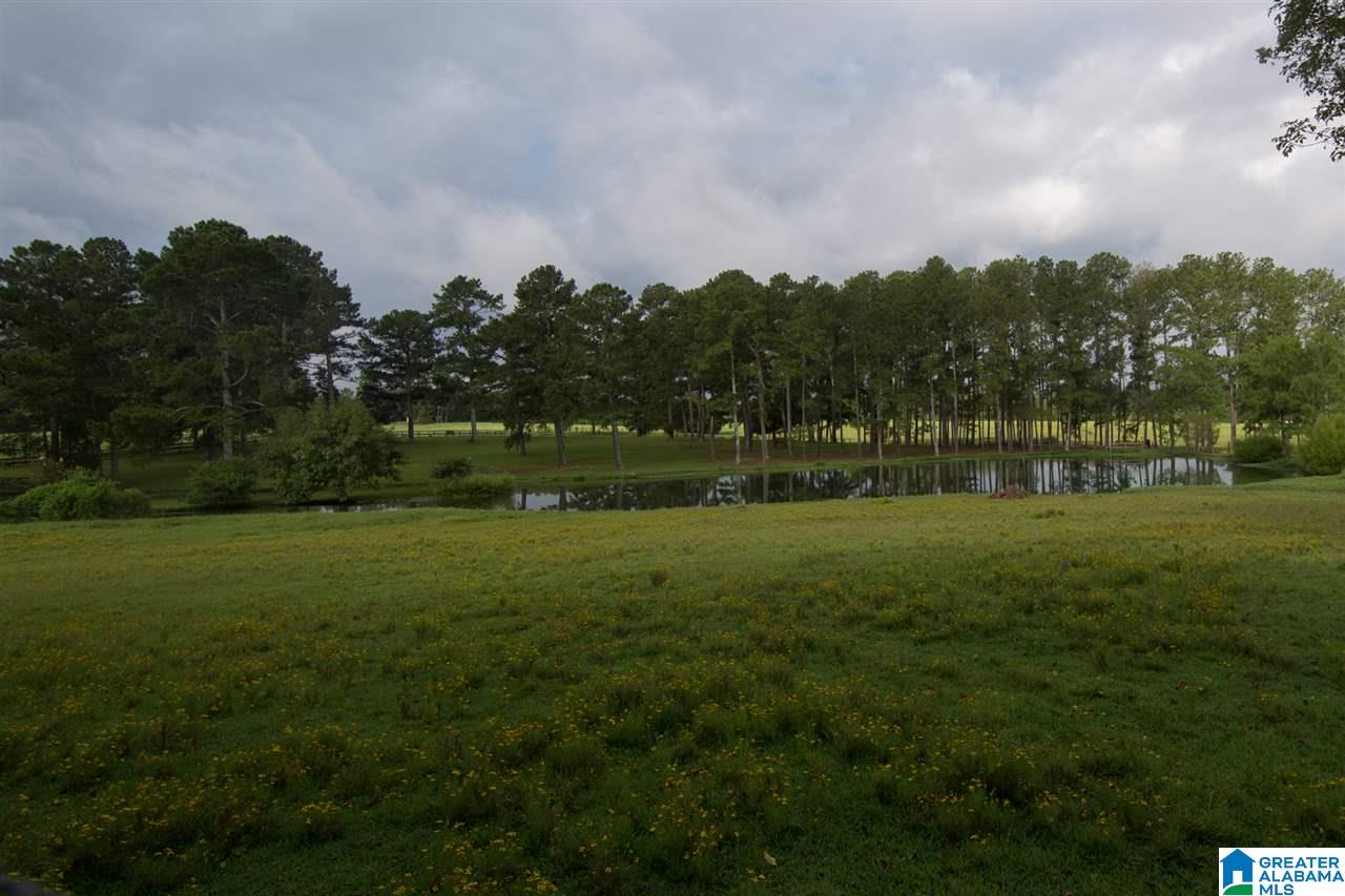 1366 Holland-Finley Road Jacksonville, AL 36265 - Photo 6 of 33