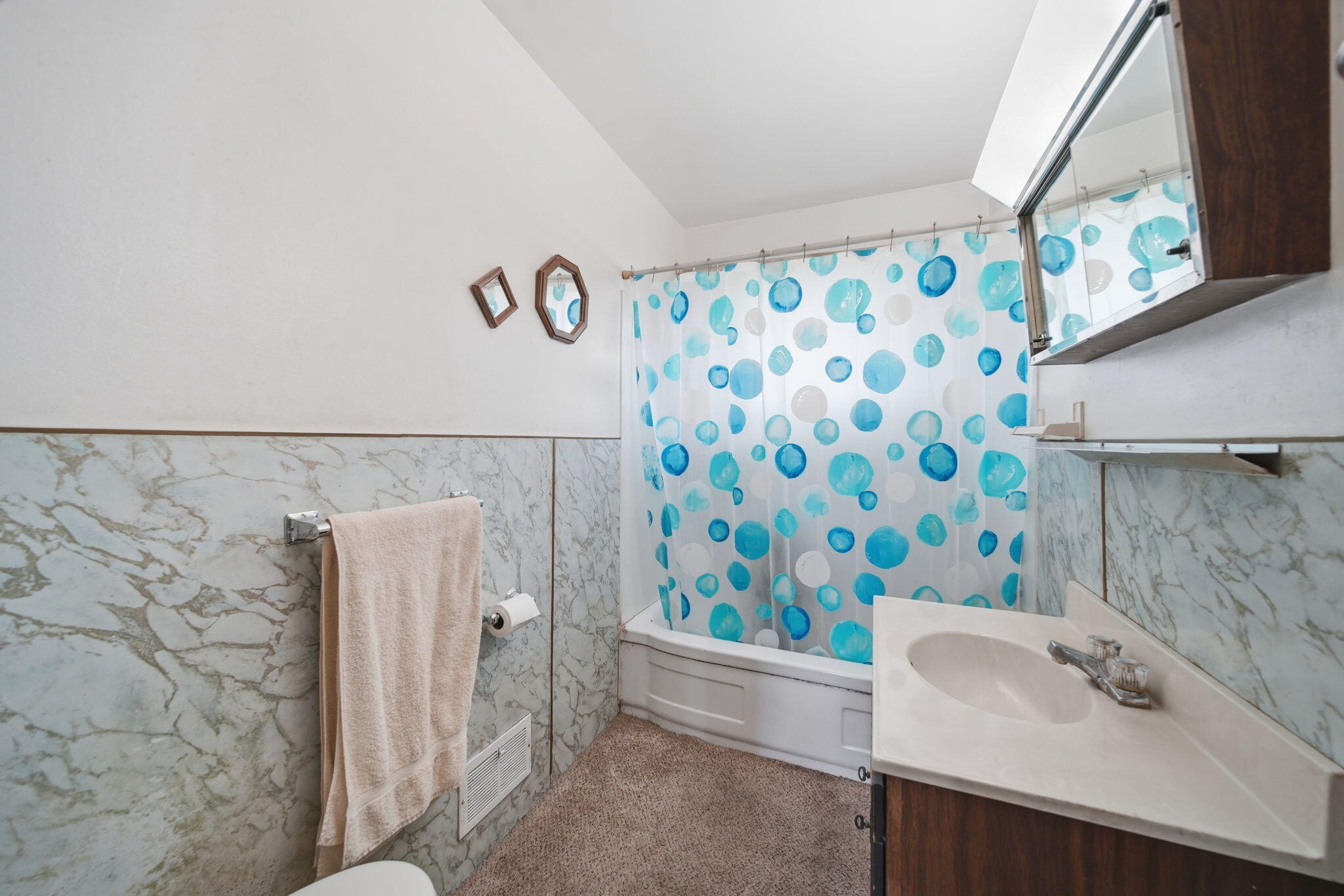 11024 Dennison Road Milan, MI 48160 - Photo 10 of 43 Bathroom
