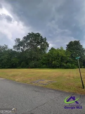 $40,000 | 0 Progressive Avenue, Hawkinsville, GA 31036