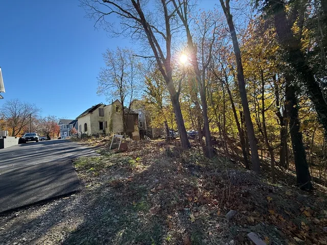 a view of a yard with large trees