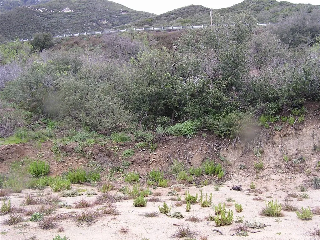 0 Hillview Road San Bernardino, CA 92404 - Photo 3 of 3 a view of a dry yard with trees and bushes