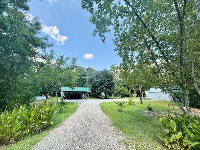 a view of a park with large trees