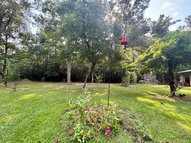 a view of a tree in a yard